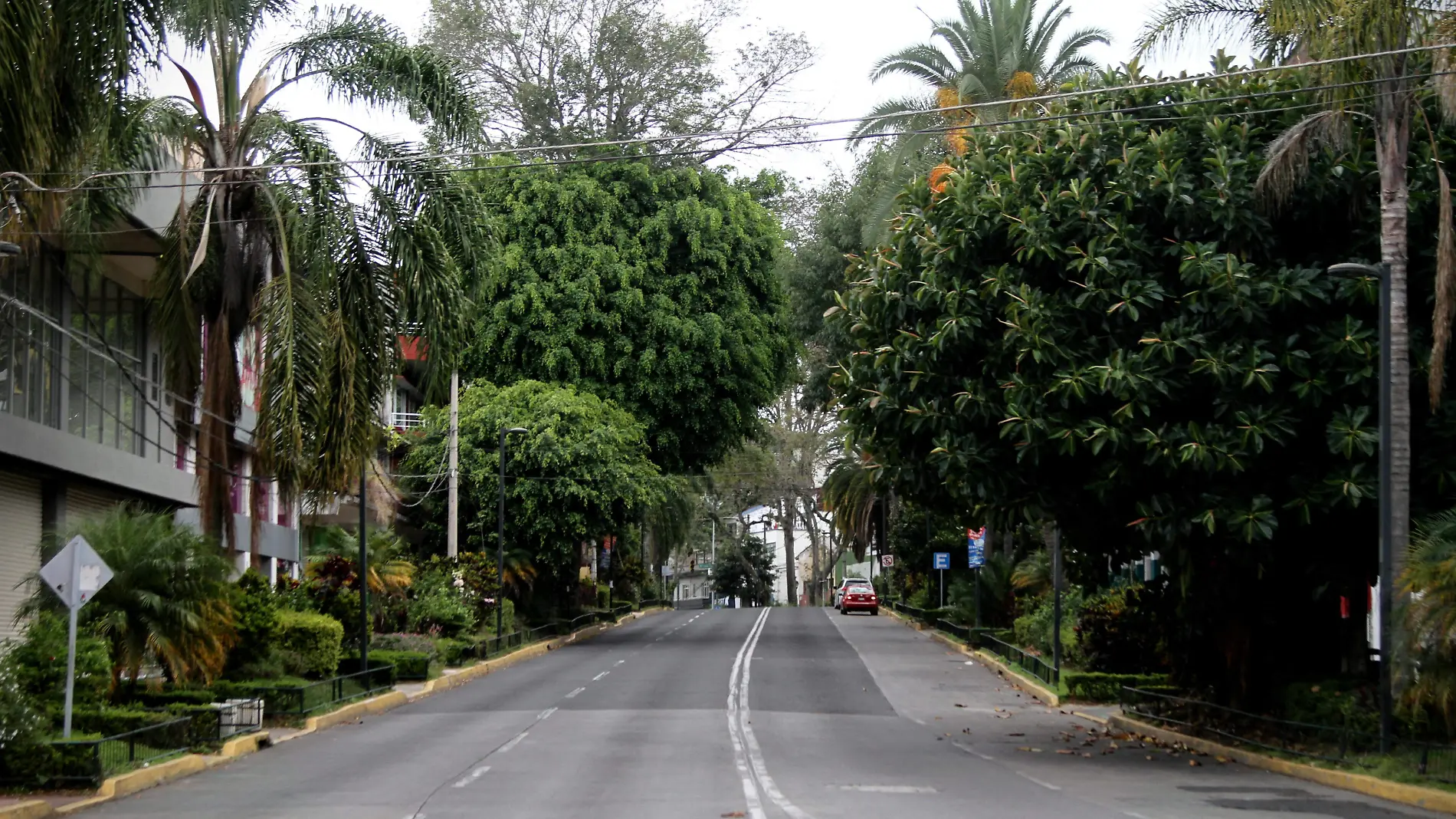 RENE-XALAPA VERDE.jpg (2)